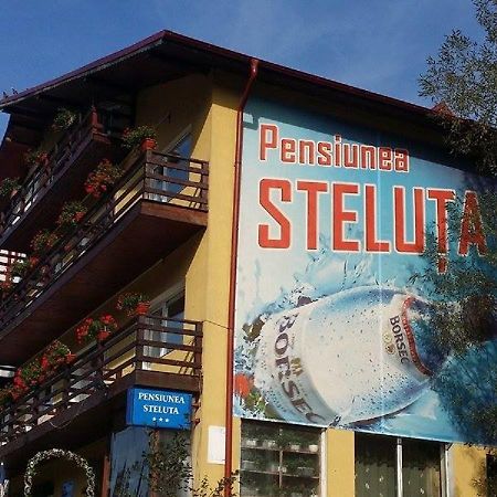 Pensiunea Steluta Predeal Eksteriør bilde